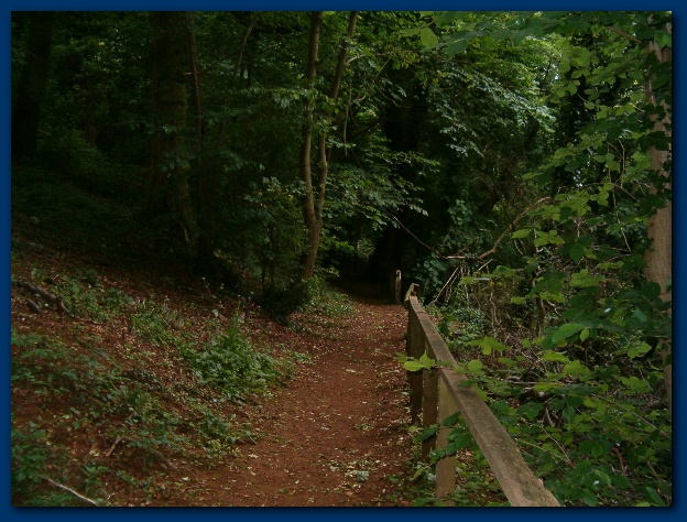 600x449 pixels (159K)